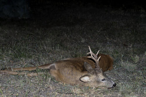  IMG5679 (1)