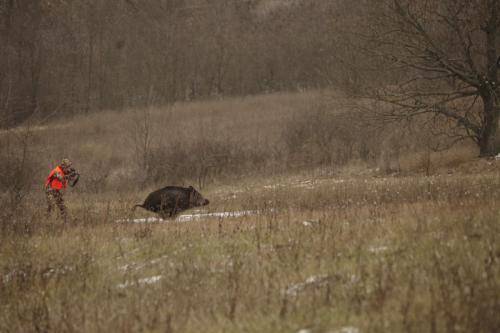 ohota-fotogalereya1