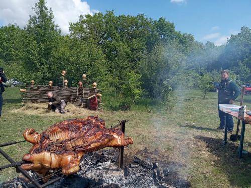 ohota-fotogalereya28